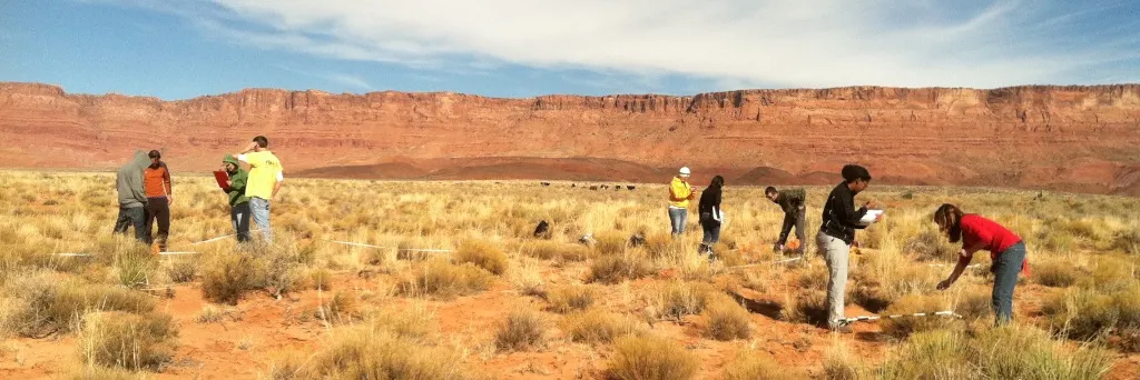 Conservation Biology class in House Rock Valley, studying grazing impacts. Photo by Tom Sisk.