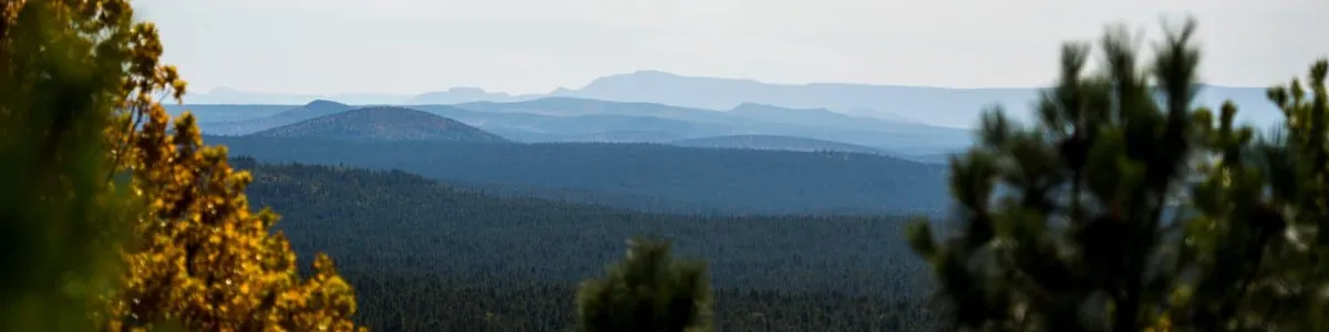 Surveying grassland plots near the San Francisco Peaks