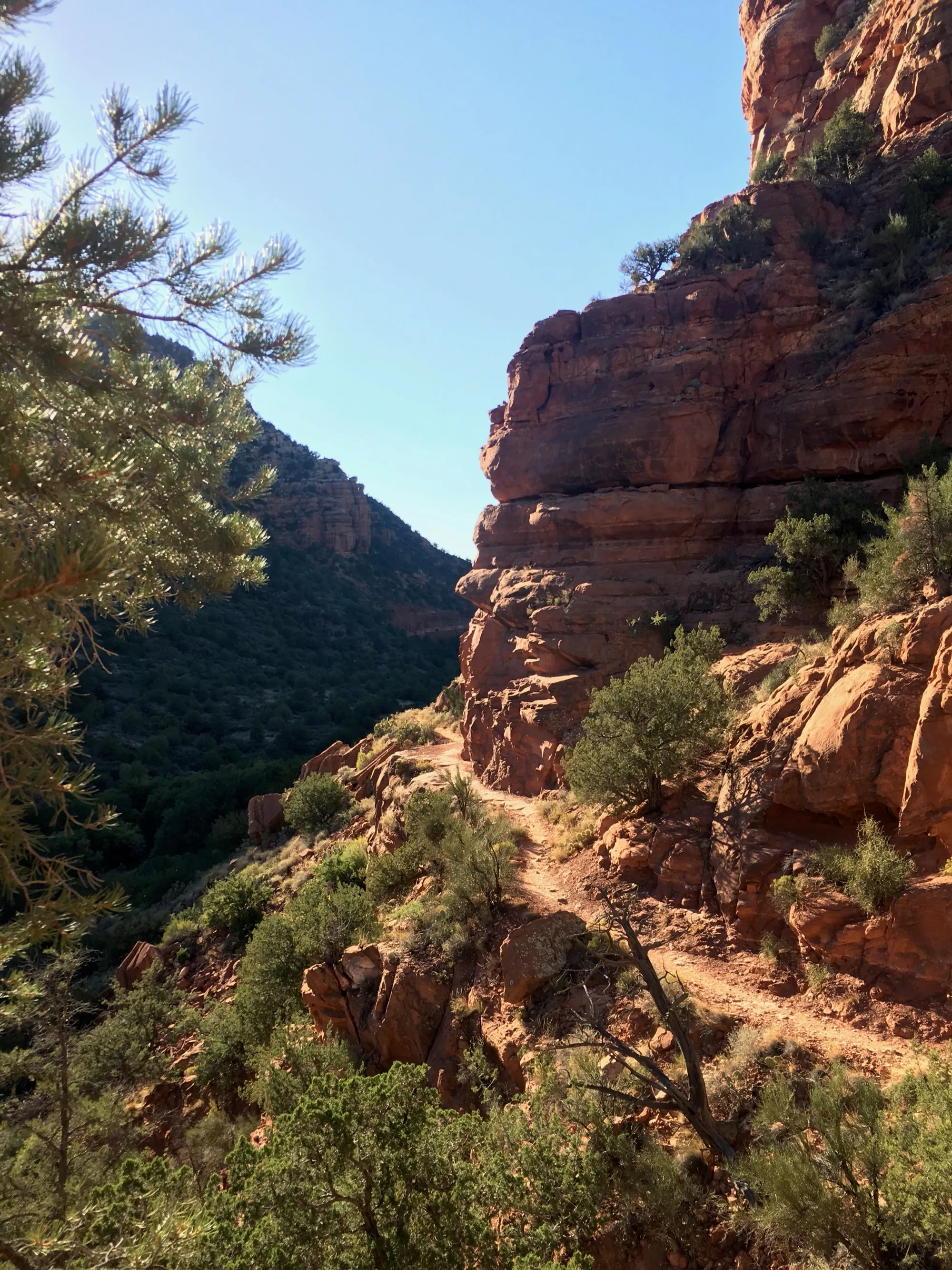 A trail winding through red rock canyon country