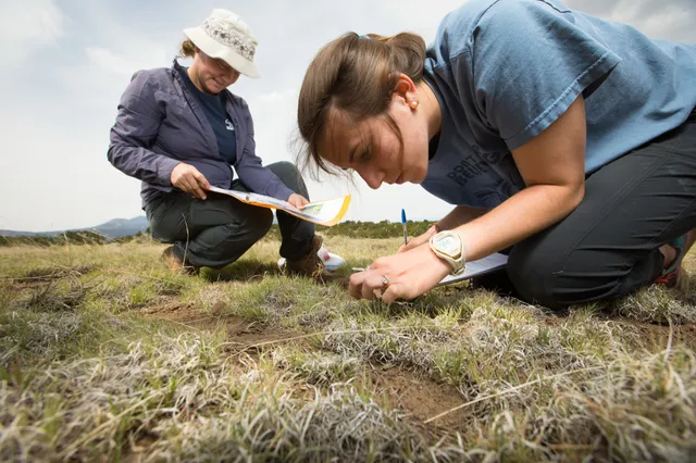 Ecology & Conservation