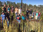 Wildfire Ecology in a Changing Climate: SES Research Leads Conservation Efforts