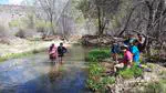 Environmental Sciences and Policy MS