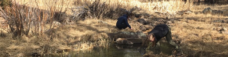 Field Research Experience