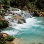 Water Management Policy & Science