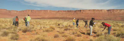 Conservation Biology class in House Rock Valley, studying grazing impacts. Photo by Tom Sisk.